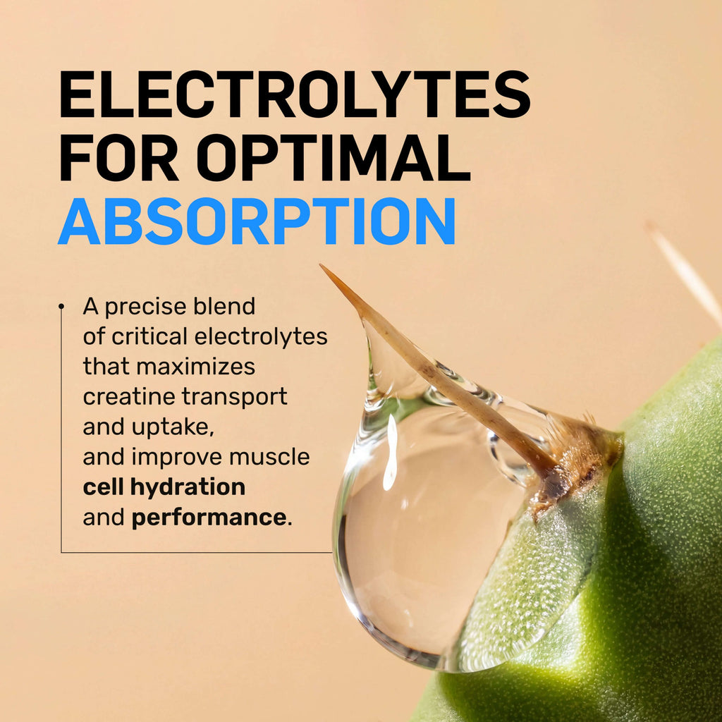 Creatine HCl Powder - Unflavored, Simple Performance Training Support