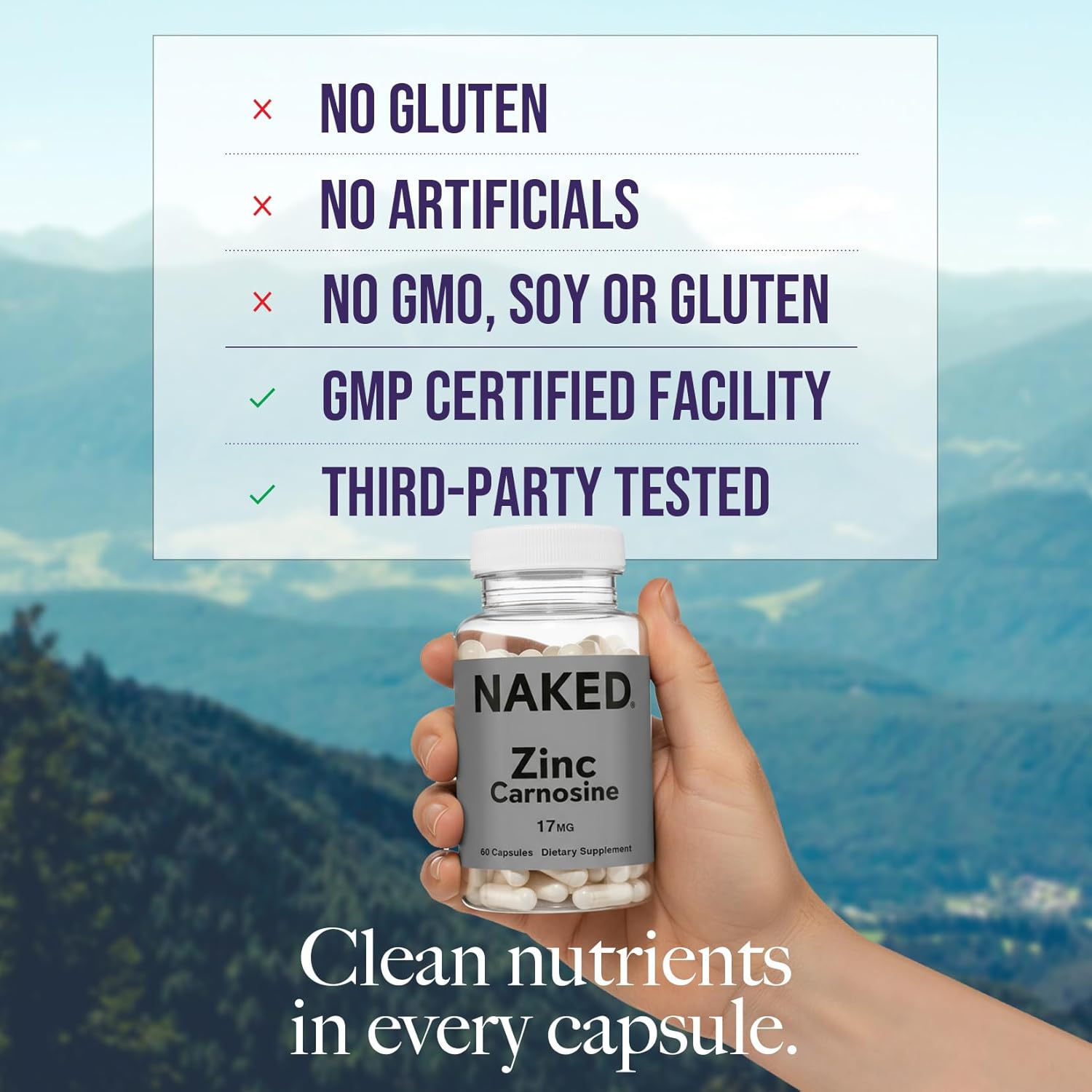 Daily Zinc Supplement - Zinc, Minimal Ingredient Health Support