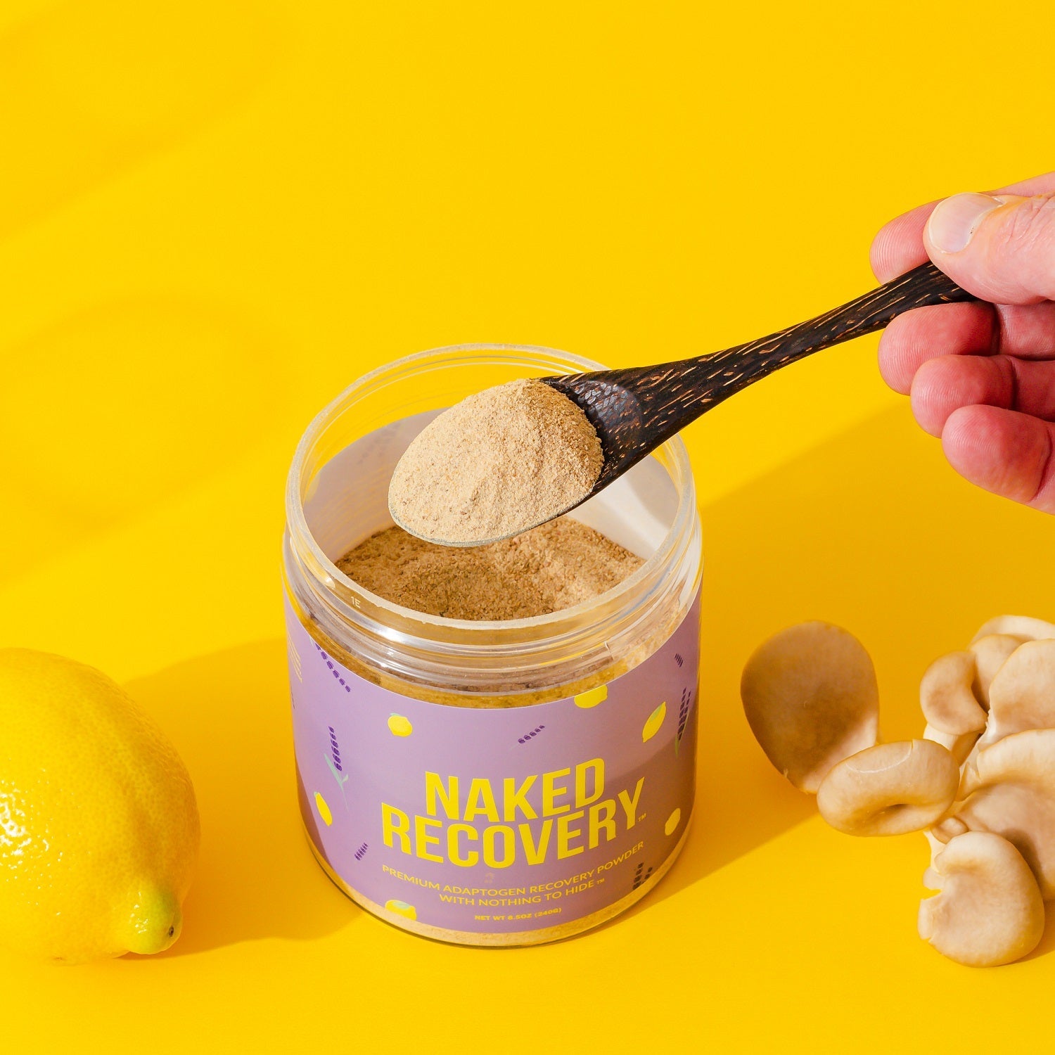 Recovery Mushroom Supplement, Minimal Ingredient Health Support