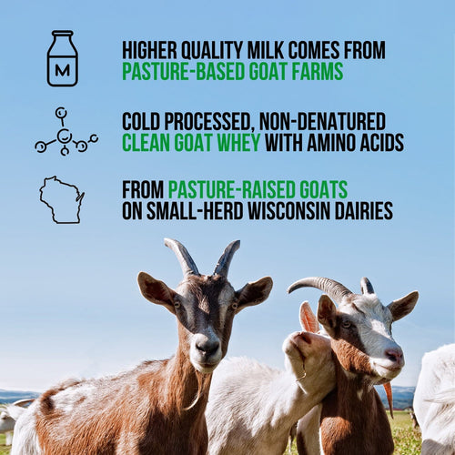 Chocolate Goat Whey Protein Powder - Chocolate, Pure Protein For Everyday Use