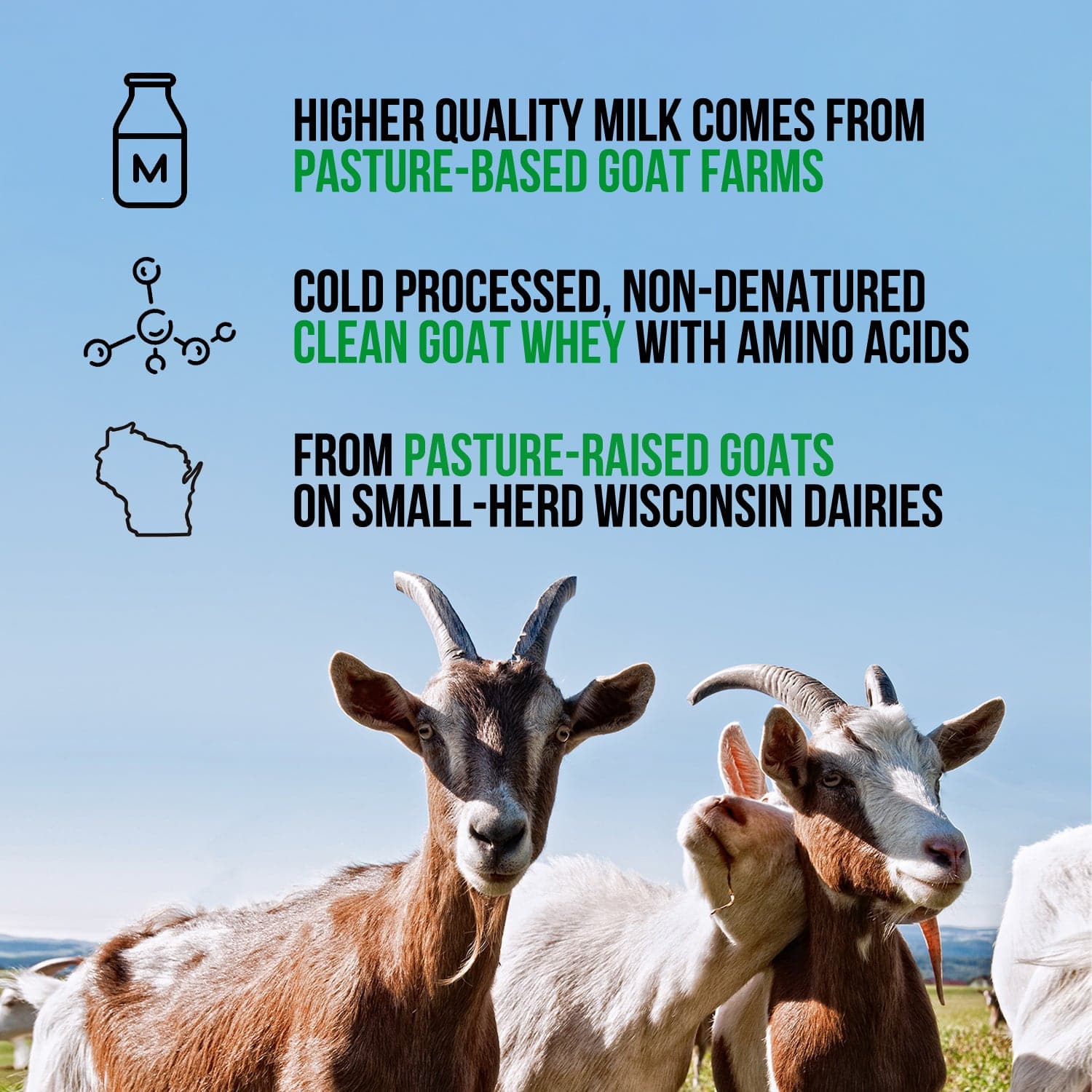 Vanilla Goat Whey Protein Powder - Vanilla, Pure Protein For Everyday Use