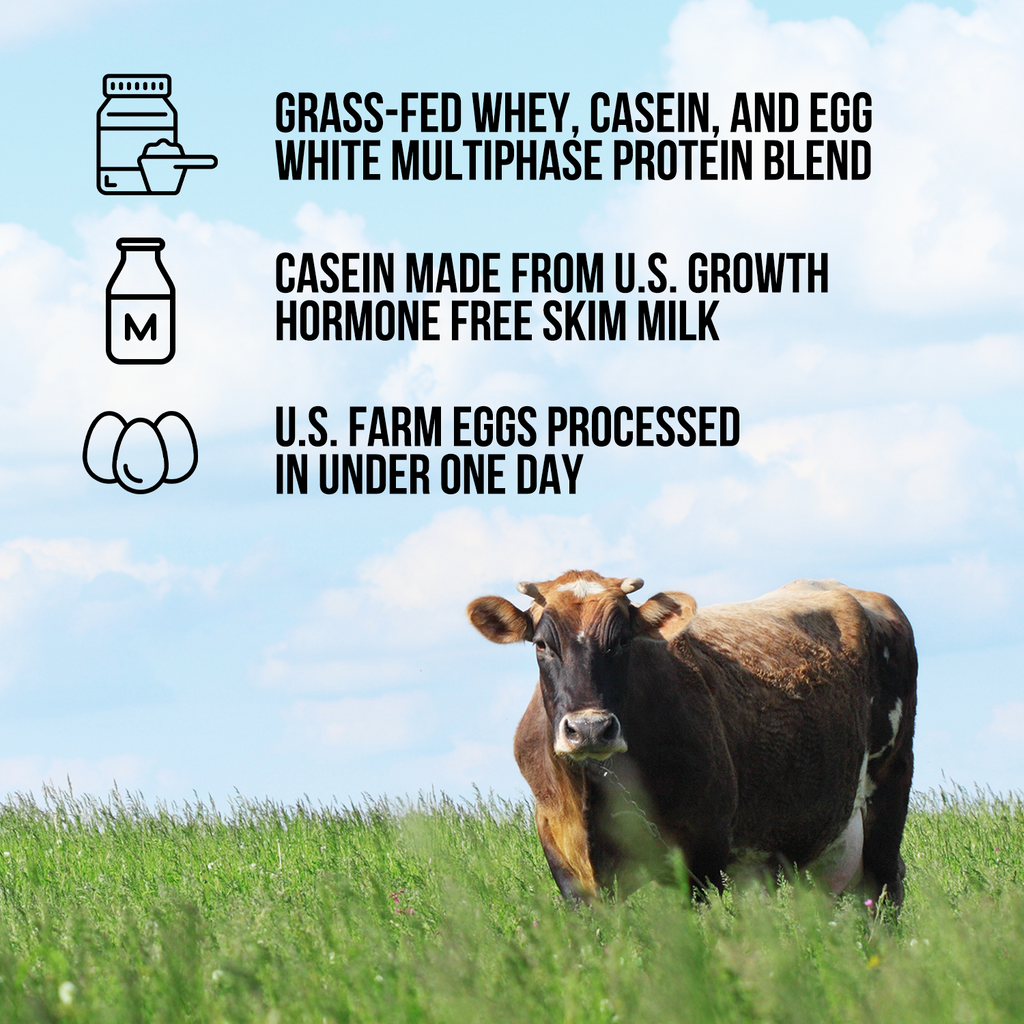 Protein Powder Blend - 3LB Egg Whey & Casein Protein Blend - 3LB, Pure Protein For Everyday Use