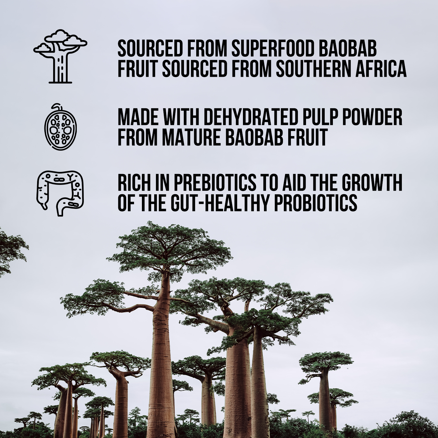 Organic Fiber Supplement, Everyday Digestive Fiber Blend