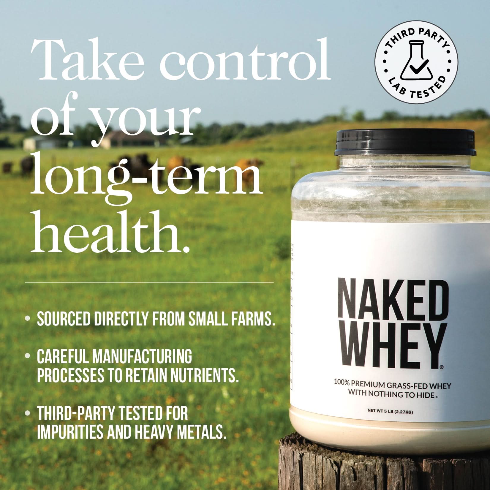 Vanilla Grass-Fed Whey Isolate Protein Powder - Vanilla, Pure Protein For Everyday Use