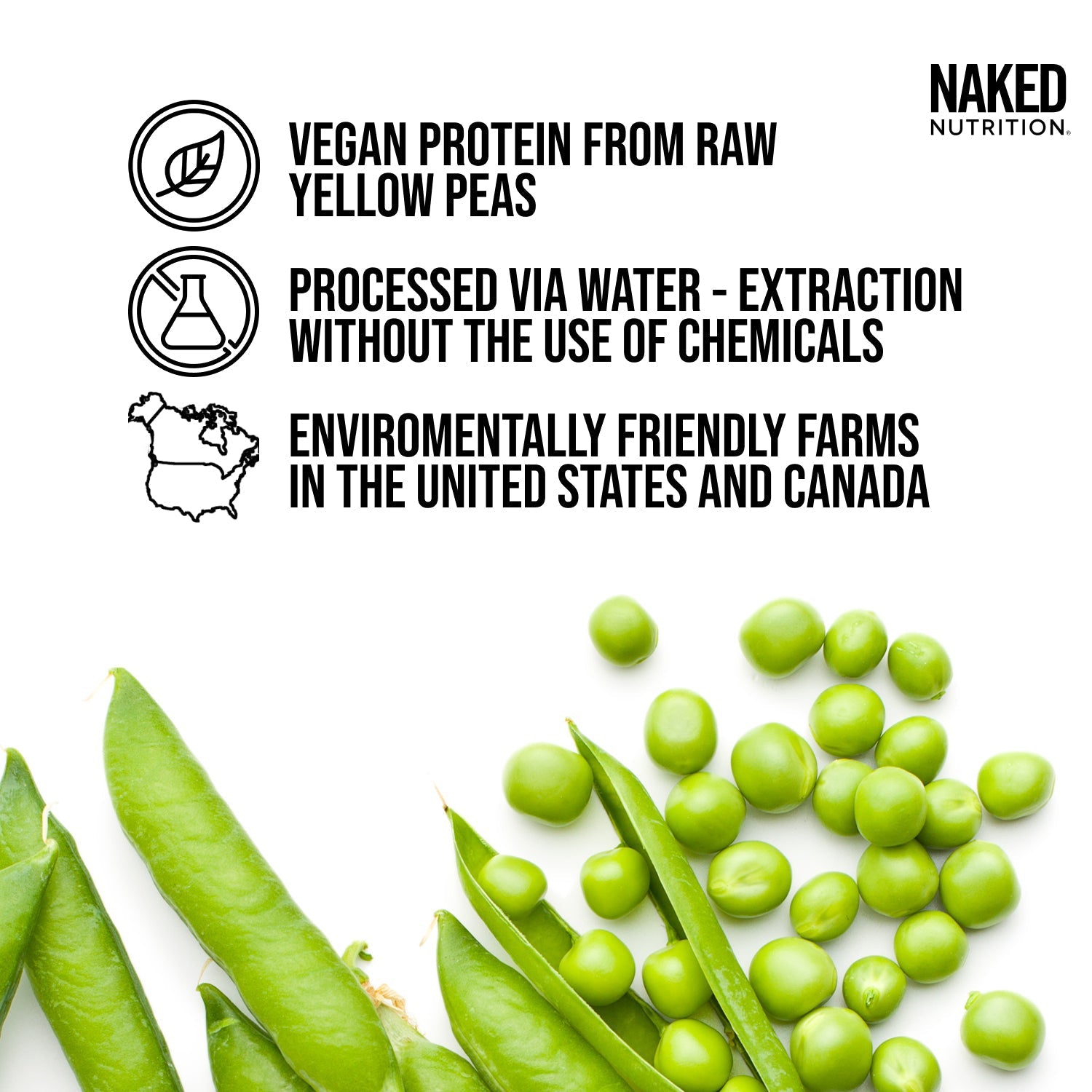 Chocolate Pea Protein Powder - Chocolate, Smooth Plant Protein For Shakes