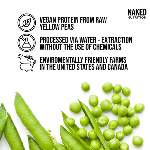 Chocolate Peanut Butter Pea Protein Powder - Chocolate PB, Smooth Plant Protein For Shakes